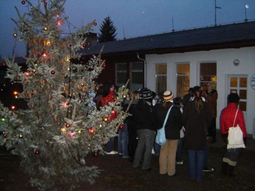 Rozsvícení vánočního stromečku v Havrani