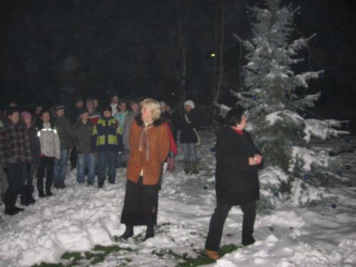 Rozsvícení vánočního stromečku v Havrani