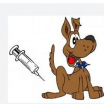 očkování psů