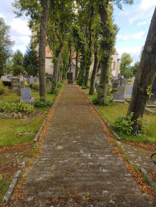 Čištění chodníčku na&nbsp;hřbitově PŘED